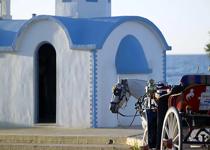 Hotel Nema Design Hotel & Spa - Adults Only