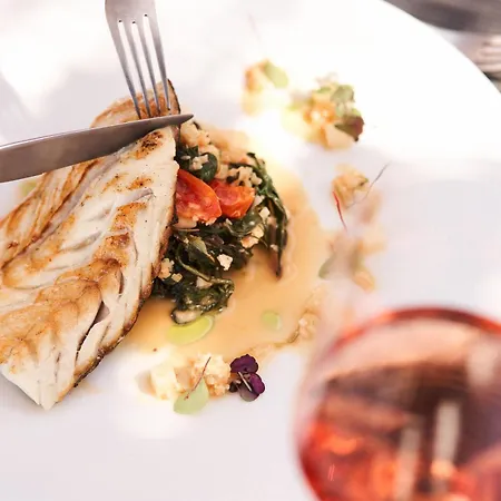 Nema Design & - Adults Only